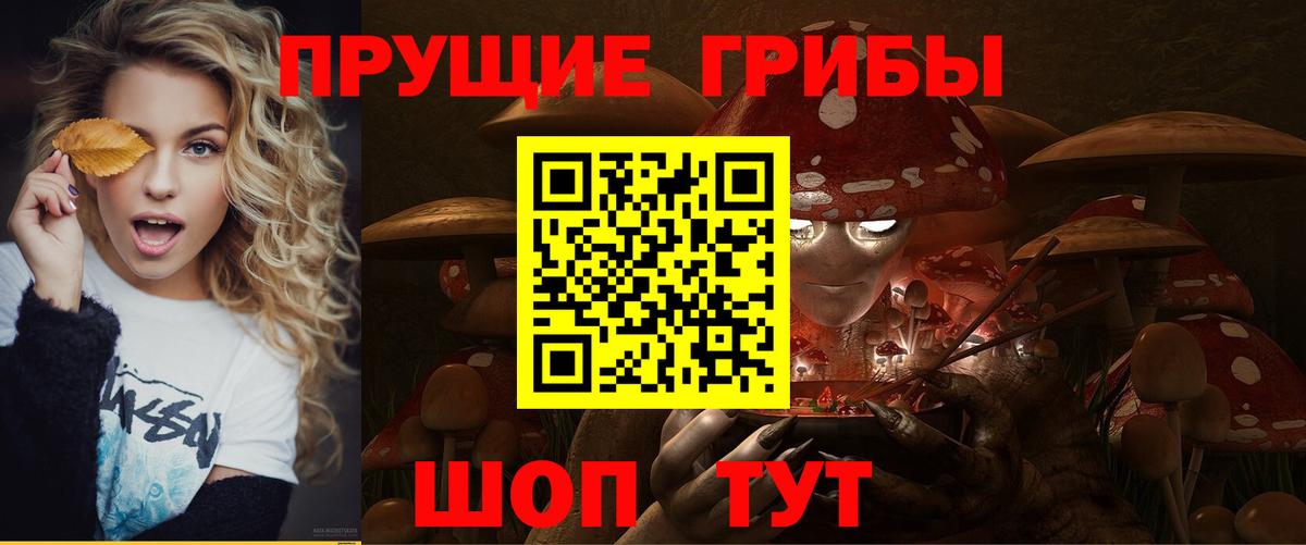 Галлюциногенные грибы мухоморы Биробиджан